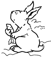 A coloring page of little polar bear